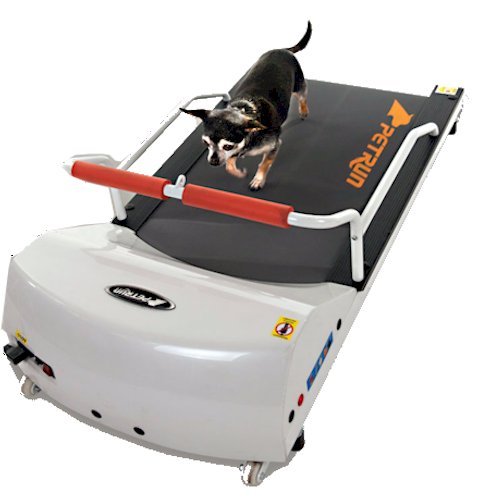 recumbent exercise bike-PetRun PR700 Dog Treadmill by GoPet