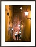 Griechengasse Visitors in Vienna, Austria Framed Photographic Poster Print by Walter Bibikow, 21x29