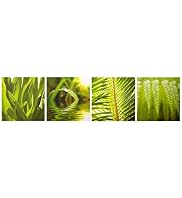 Green Leaf Wall Art