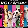 Dog-A-Day 2009 Calendar