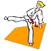 Martial Arts Lady Frosting Design