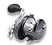 Shimano Torium SW Star Drag Reel