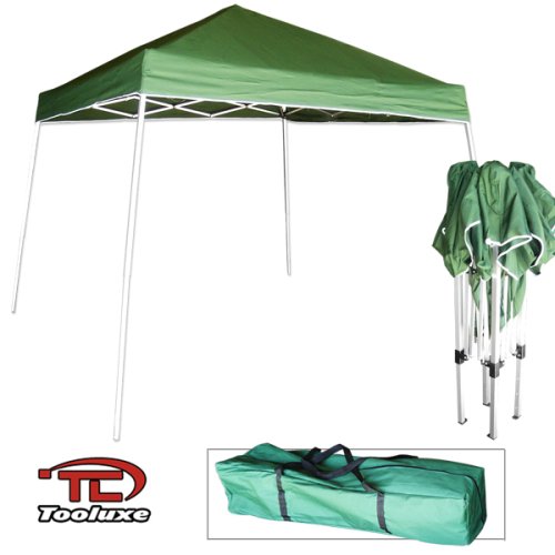 Childrens Toyshop  Outdoor Living : ToolLuxe Portable Folding 10' X 10' Tooless Canopy, Green