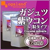 オーガランド　♪お徳用ガジュツ紫うこん（ウコン）粒　【2個セット・6ヶ月分】