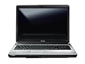 Toshiba Satellite L350-170 - Intel Pentium Dual Core T3200 2.00GHz, 2Gb, 250Gb, 17