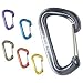 Black Diamond Neutrino Carabiner