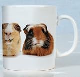 The Crazy Gang Guinea Pigs Mug