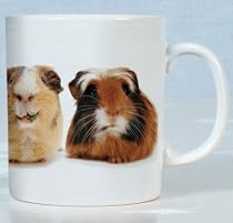 The Crazy Gang Guinea Pigs Mug