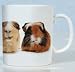 The Crazy Gang Guinea Pigs Mug