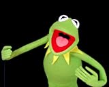Professional Muppet Puppet Ventriloquist TV Movie Prop The Muppet Show Sesame Street Kermit the Frog Fraggle Rock Puppetry theater OOAK custom built