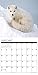 2016 Foxes Wall Calendar