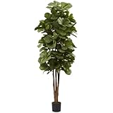 Nearly Natural 5346 Fiddle Leaf Fig Tree, 6-Feet, Green