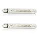 CLAXY Ecopower 3 Watt Vintage LED Bulb - Pack of 2