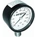 Merrill Mfg. PG200 Steel Pressure Gauge