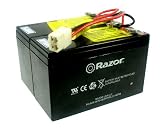 Razor Battery - e200 (V8-12) / e300 (V5-12)