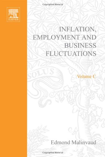 Inflation - Employment and Business Fluctuations - Volume 35C (Journal of Chromatography Library)