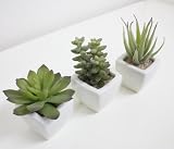光触媒アートフラワー　多肉植物３個セットＡ４９０９－３０