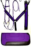 ABETTA Hot Color AIRE GRIP Tack Set - Saddle Pad, Bridle, Breast Collar and Girth