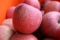 CA貯蔵りんご【糖度13度以上・長野県産】 サンふじ 家庭用 5kg (12玉~20玉) (小キズ・色ムラ・割れなど)