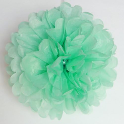 Set of 5 Tissue Paper Pom Pom - PomPomSale Brand - Wedding / Baby Shower / Birthday Party / Nursery Decorations (Small 9", Cool Mint)