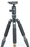 Giottos MH5310-630 Vitruvian Stativ aus Karbon (mit Kugelkopf)