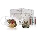 from The Exotic Teapot Flowering Tea Discovery Gift Set with Glass Teapot Model DISC-FLOWER