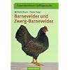 Barnevelder und Zwerg-Barnevelder
