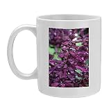 Photo Mug of SALVIA SPLENDENS SALSA PURPLE from Garden World Images'