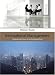 Books : International Management: Strategy and Culture in the Emerging World