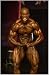 Rob Hopes Non Stop Natural Growth Muscle Building System