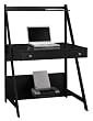 Alamosa Collection:Ladder Desk