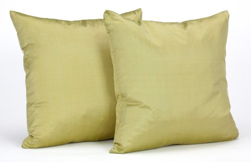 Newpoint Dupioni Silk 18-Inch-by-18-Inch Feather 