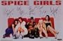 Spice Girls Signatures Posh Ginger Scary 23x35 Poster