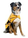 Granite Gear High Visibility Coat