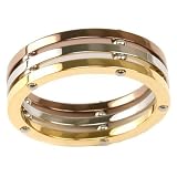 Stainless Steel Ring 316 Tri-Color Gold Plated Polished Band 6.5
Width by Bucasi