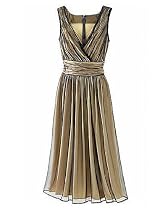 Newport News Shirred mesh dress