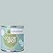 Inspired Eggshell Interior Colorspot Paint Sample, Wool .02,  8-oz