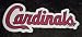 St. Louis Cardinals Team Name MLB Car Magnet