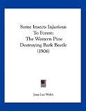 Some Insects Injurious To Forest: The Western Pine Destroying Bark Beetle (1906)