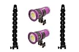 Dual Luna 4 V Professional Underwater LED Video Light (4000 lumens, rated 626'/200m deep) with dual Nocturnal Lights 12