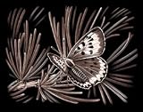 Copperfoil Kit 8"X10" - Butterfly