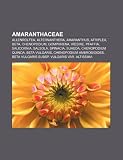 Amaranthaceae: Allenrolfea, Alternanther: Allenrolfea, Alternanthera, Amaranthus, Atriplex, Beta, Chenopodium, Gomphrena, Iresine, Pfaffia, ... Beta vulgaris, Chenopodium ambrosioides