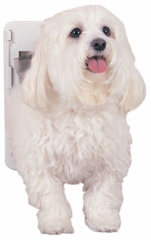 Essential Pet Products P2-Sw-11 Quick Fit Pet Door- Small White