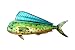 Sport Fish Dorado (Dolphin) Trailer Hitch Cover By Fishheads
