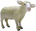 Ram Toy, 3.62