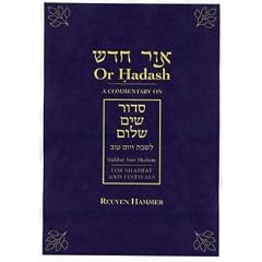 Or Hadash: A Commentary on Siddur Sim Shalom for Shabbat and Festivals