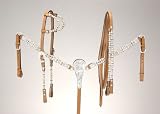 Royal King Rawhide/Ferruled Show Breastcollar - Horse
