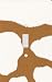 Pinto Pony Skin Print Decorative Switchplate Cover