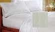 Orchid Collection Twin Sheet Set Green