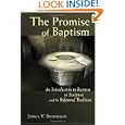 The Promise of Baptism: An Introduction to Baptism in Scripture And the Reformed Tradition by James V. Brownson